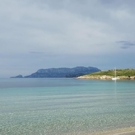 Apartament La Dolce Dimora Olbia Zewnętrze zdjęcie