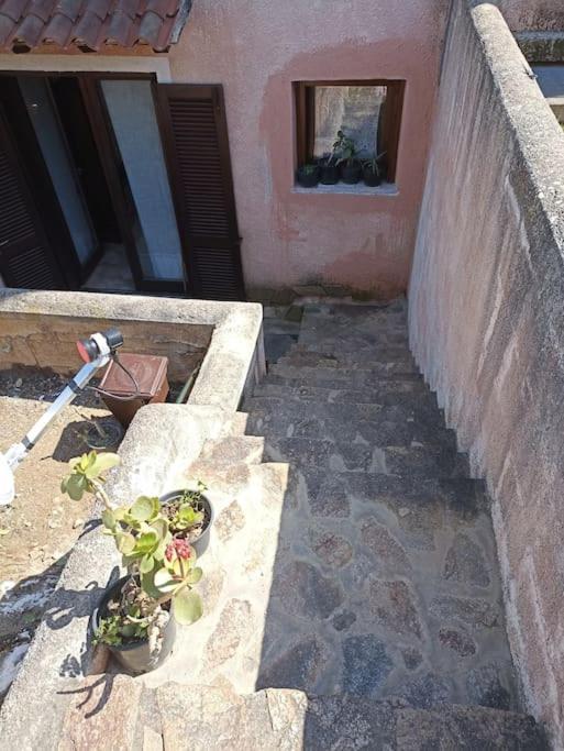 Apartament La Dolce Dimora Olbia Zewnętrze zdjęcie