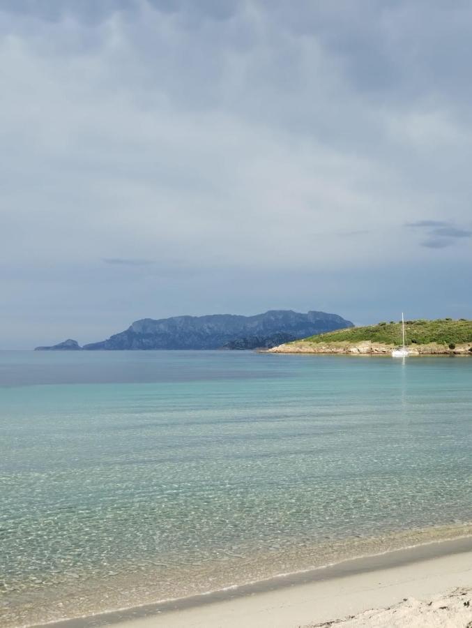 Apartament La Dolce Dimora Olbia Zewnętrze zdjęcie